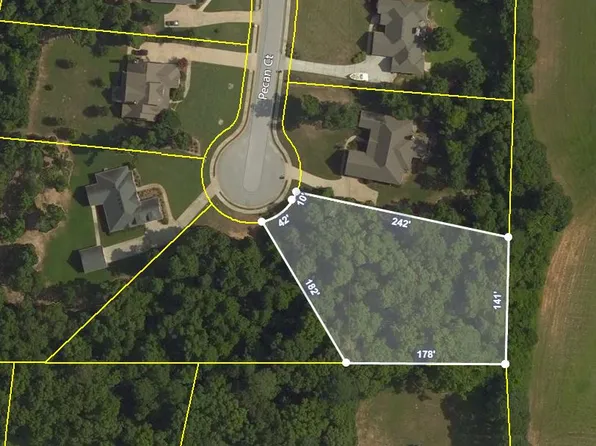 361 Pecan Ct, McDonough, GA 30252