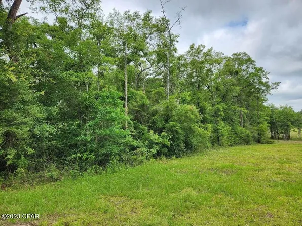 Shakey Joe Rd, Vernon, FL 32462