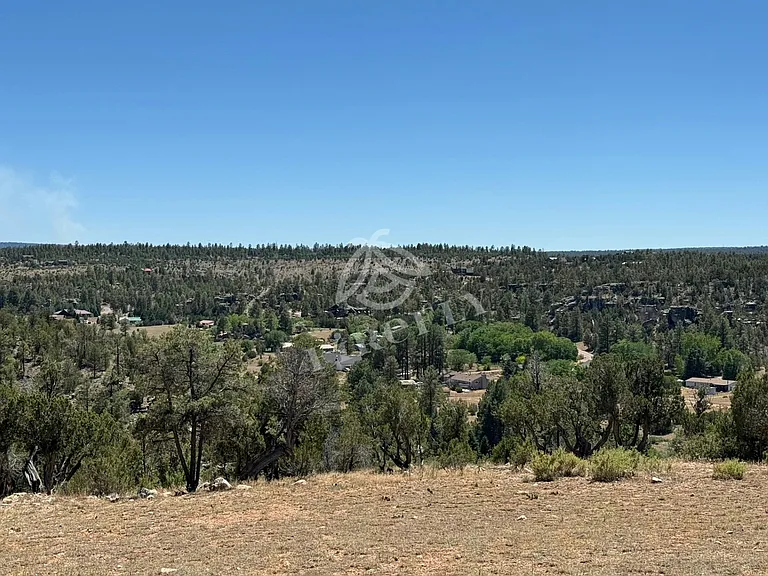 1847 Solomon Cir — Photo 22