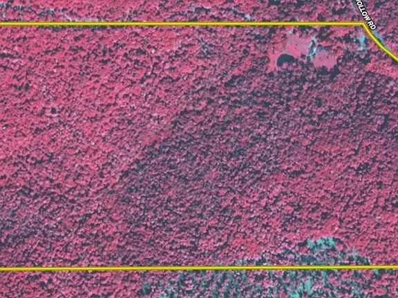 4th image of 2213 Brown Hollow Rd