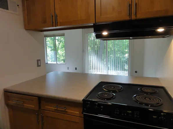 1541 Jones Dr #1541, Ann Arbor, MI 48105