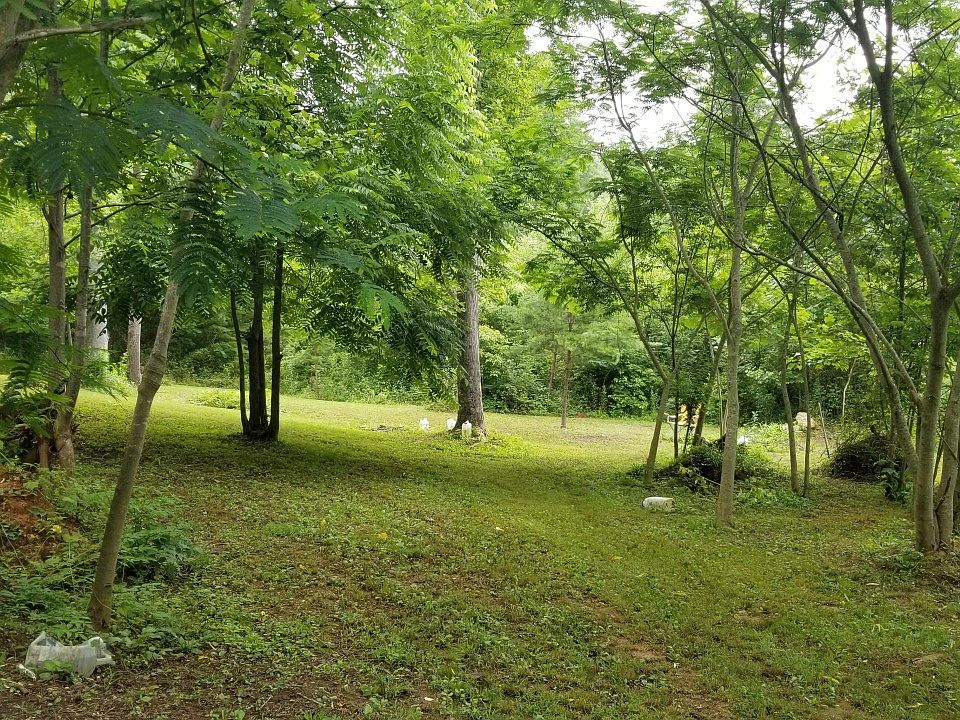 1st image of 0 Chestnut Oaks Dr