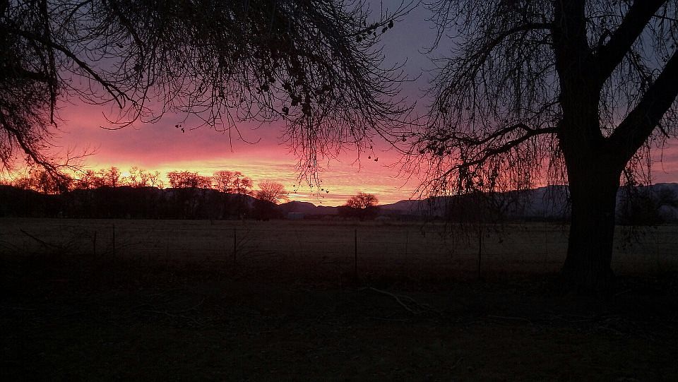 Sun set from the back yard