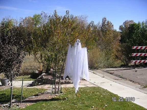 Only address on street