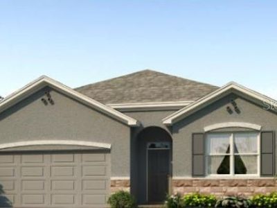 10784 Quail Grove Way, San Antonio, FL, 33576