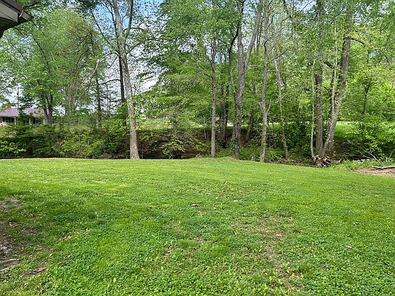 Backyard and creek behind property