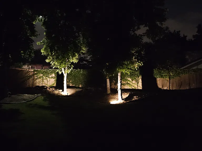 Corner of backyard night lights