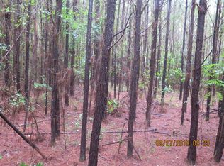 1021 Buckatunna Millry Rd, Buckatunna, MS 39322