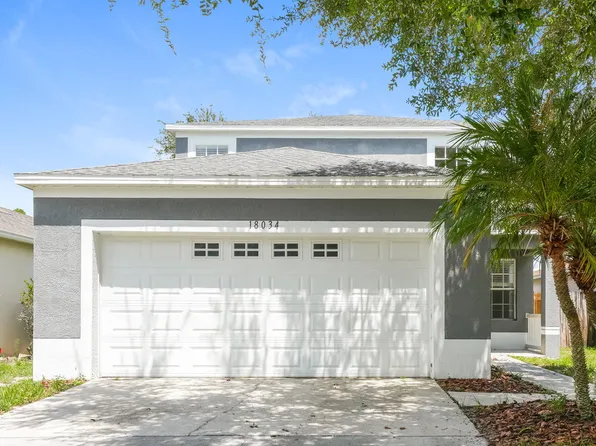 18034 Birdwater Dr, Tampa, FL 33647