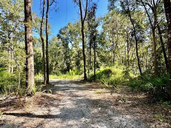 807 NE 424th Ave, Old Town, FL 32680