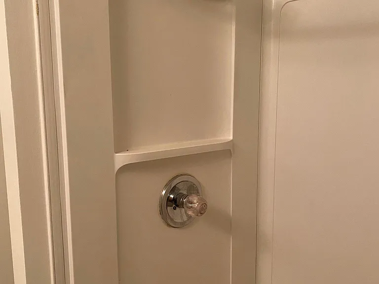 Master Bath Shower