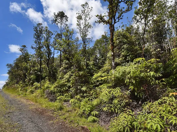 Moano St Lot 42, Mountain View, HI 96771