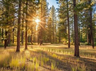 LOT 13 Lewis Dr, New Meadows, ID 83654