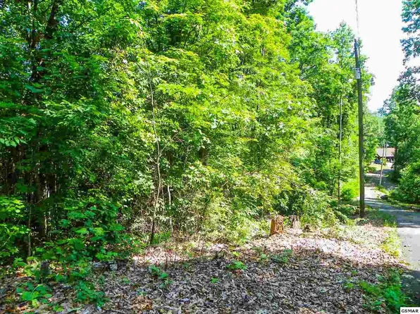 Priscilla Hgts Ln, Pigeon Forge, TN 37862