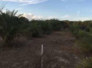 440 Lake George Rd, Seville, FL 32190