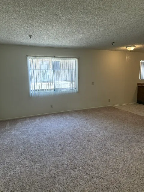 Doty Apartment North & South — Photo 3