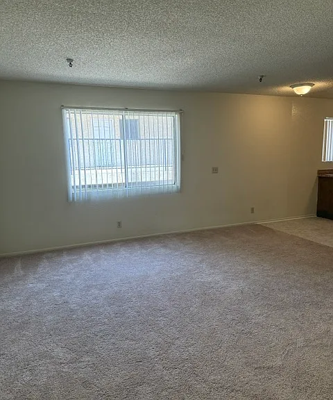 Doty Apartment North & South — Photo 9