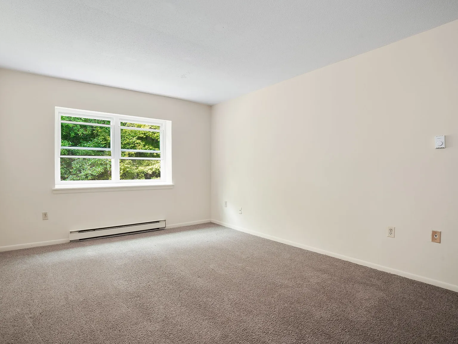 5 Greta St — Photo 4