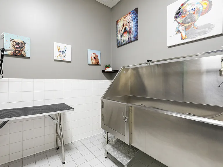 Pet Wash Station
