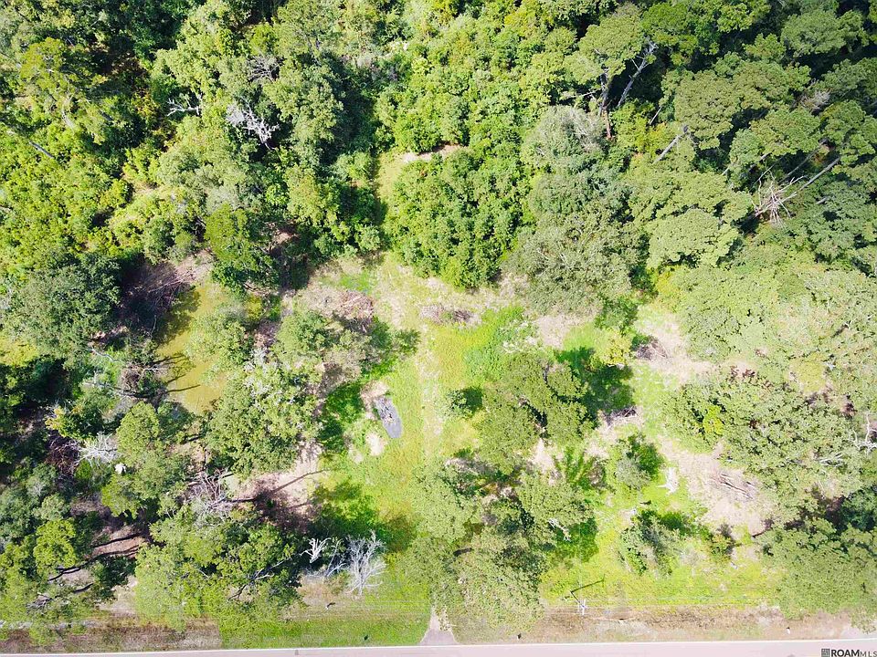 2nd image of 31519 State Highway 1036