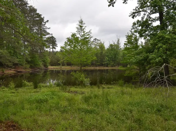 Jerry Loop Rd #155, Saline, LA 71070