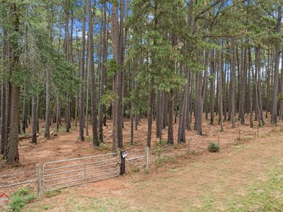 2665 Fm 2669, Tenaha, TX, 75974