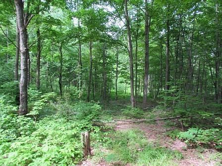 2nd image of Gardner Road
