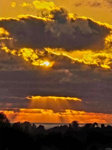 3340 Del Sol Blvd SPC 196, San Diego, CA, 92154