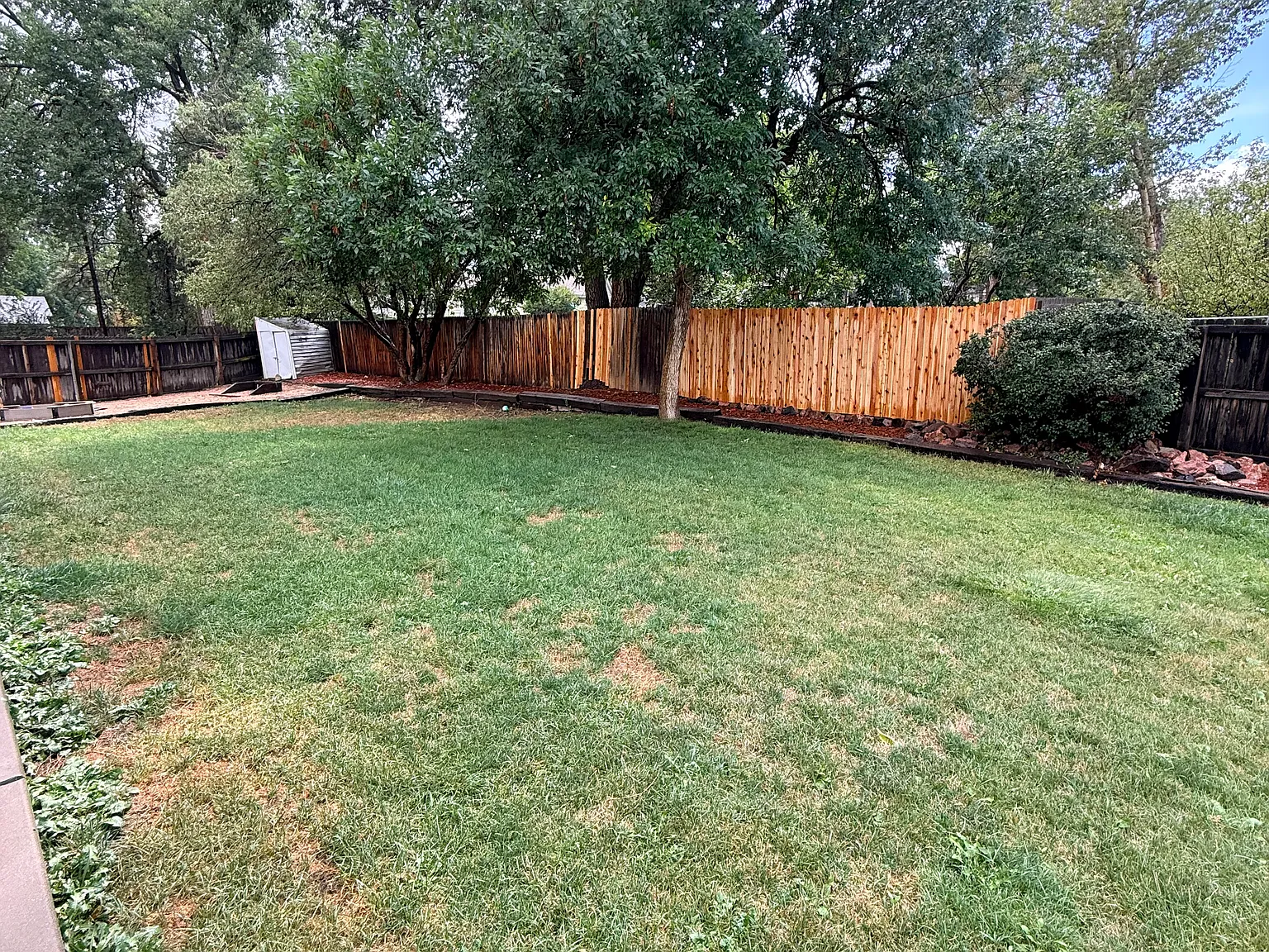3 bed, 1376 sqft, $3,100 — Photo 4