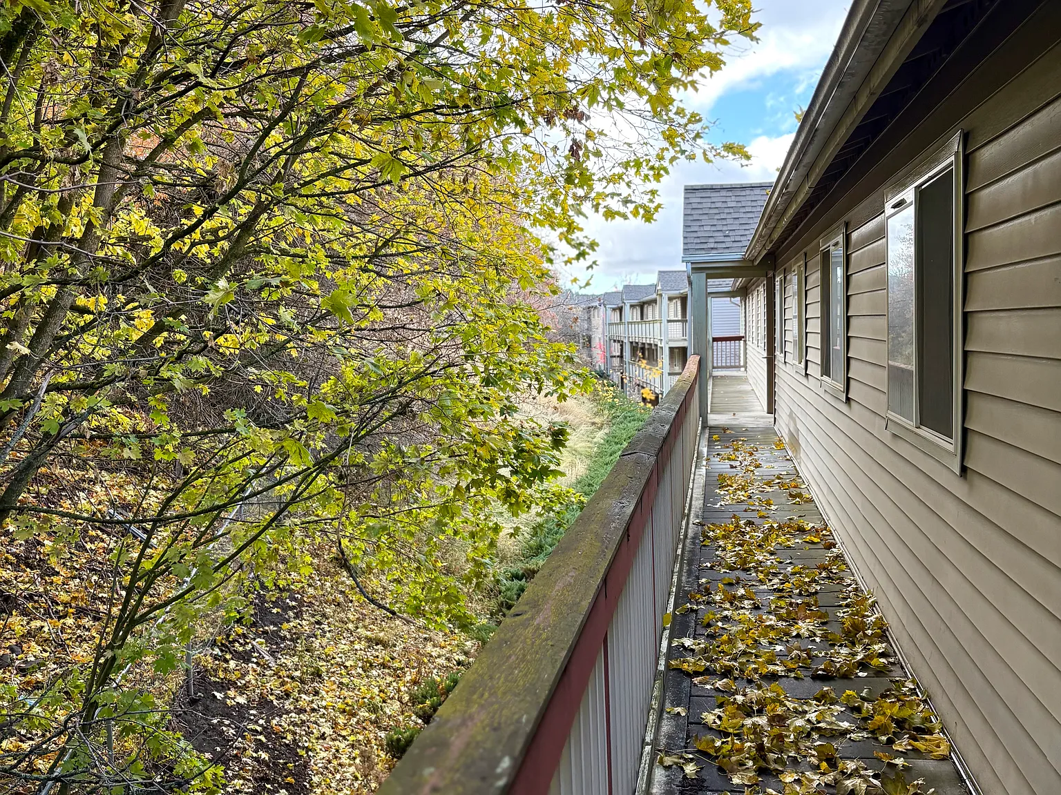 Outlook Apartments — Photo 4