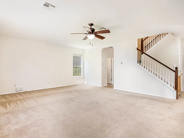 714 Celosia — Photo 2