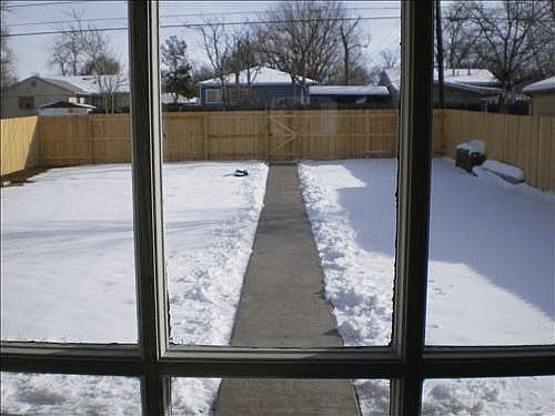 Fenced Back Yard