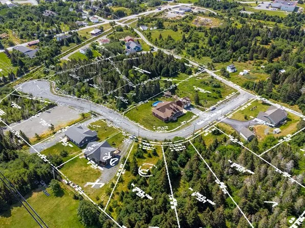 5 Alex Moores Court, Harbour Grace, NL A0A2M0