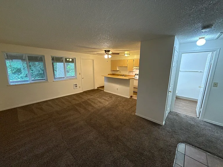 The Firs Apartments — Photo 18