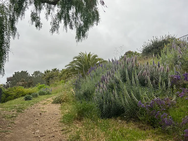 622 Palomar Ave — Photo 43