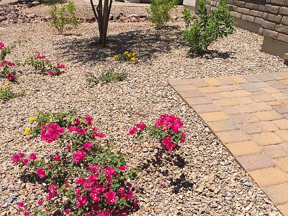 Front yard