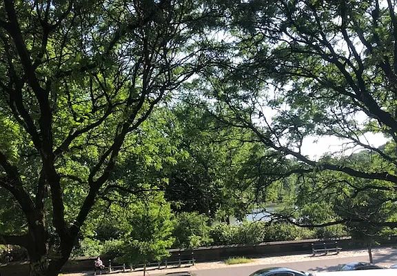 2nd image of 45 Central Park N #2D
