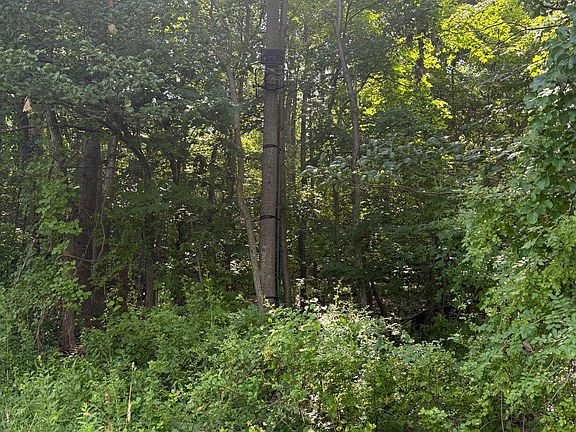 4th image of 501 Tracey Rd