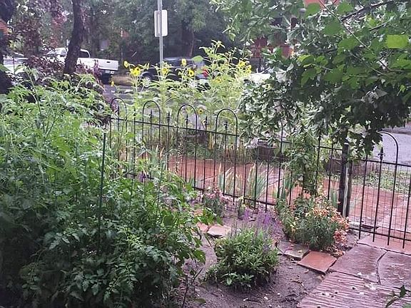 2nd image of 641 N Galapago St