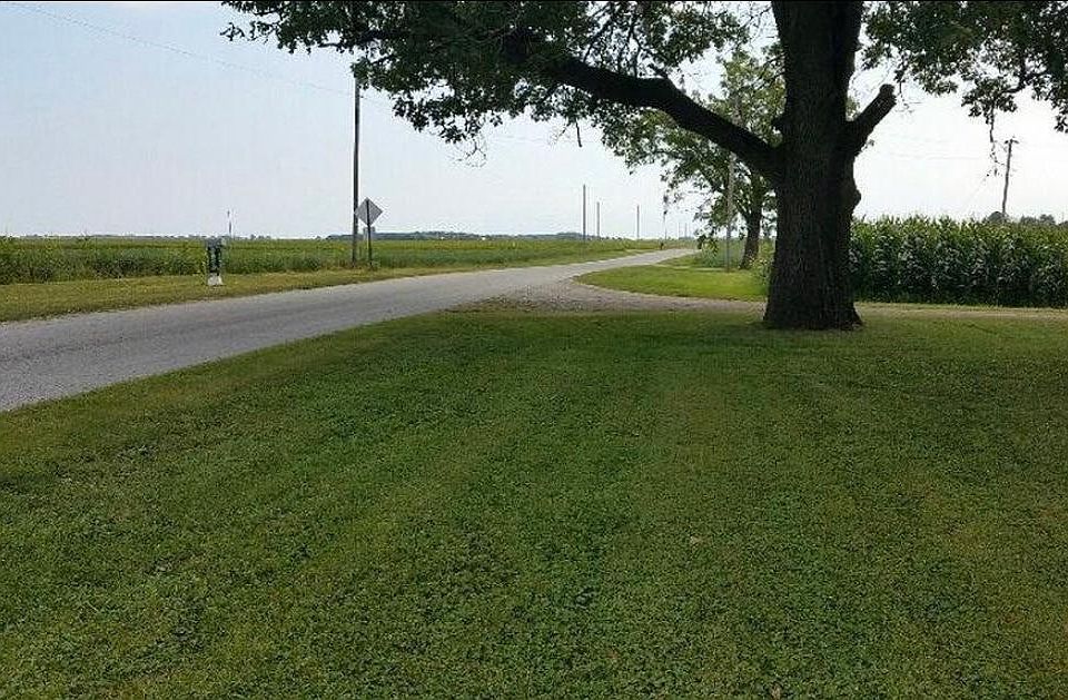 Road in front of the home. Driveway behind tree