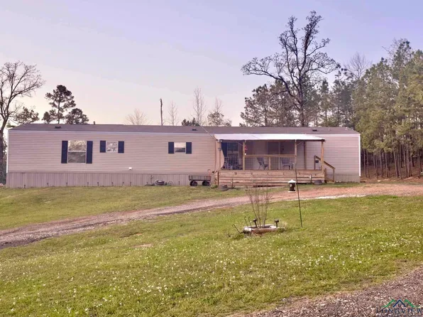 170 Pecan Dr, Hallsville, TX 75650