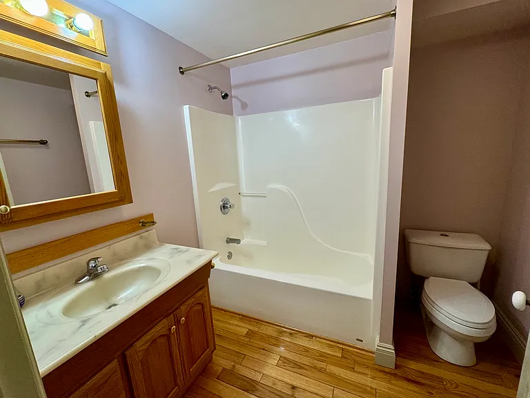 Lower level full bathroom