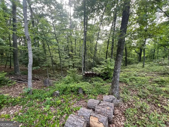 80 Little John Ln NE, Fairmount, GA 30139