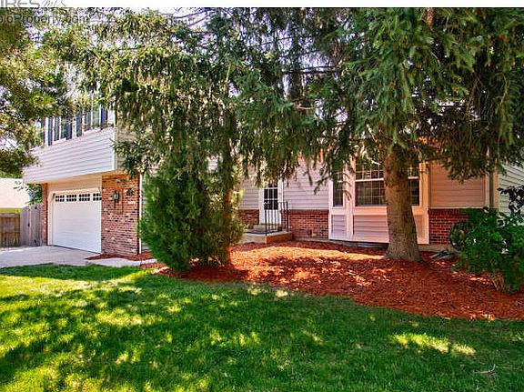 Beautiful shade trees