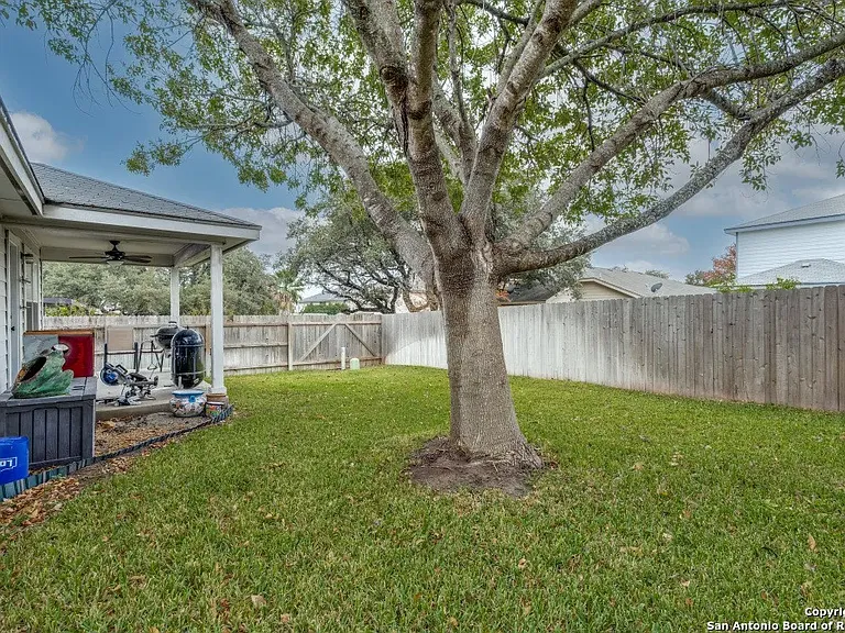 Back yard