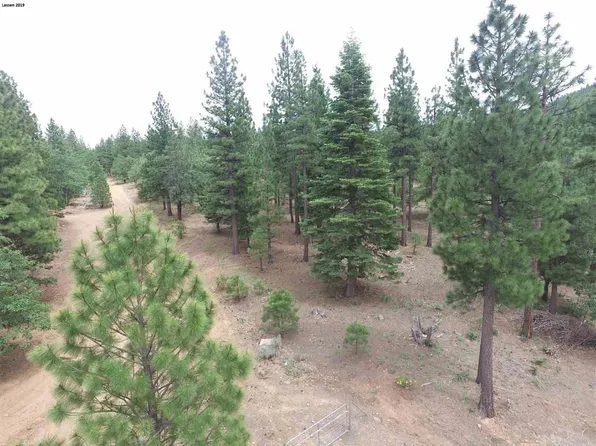 463-350 Dusty Ln, Janesville, CA 96114