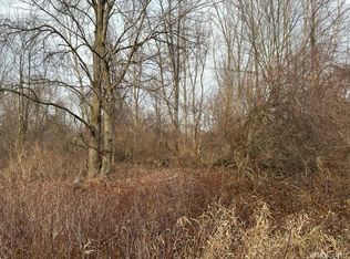 Bridges Cv, Metamora, MI 48455