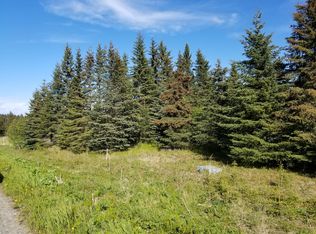 17698 Kimeluk St, Ninilchik, AK 99639