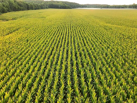 3rd image of 0 N Knox Rd