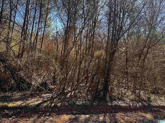 2nd image of 0 Wolf Creek Rd N